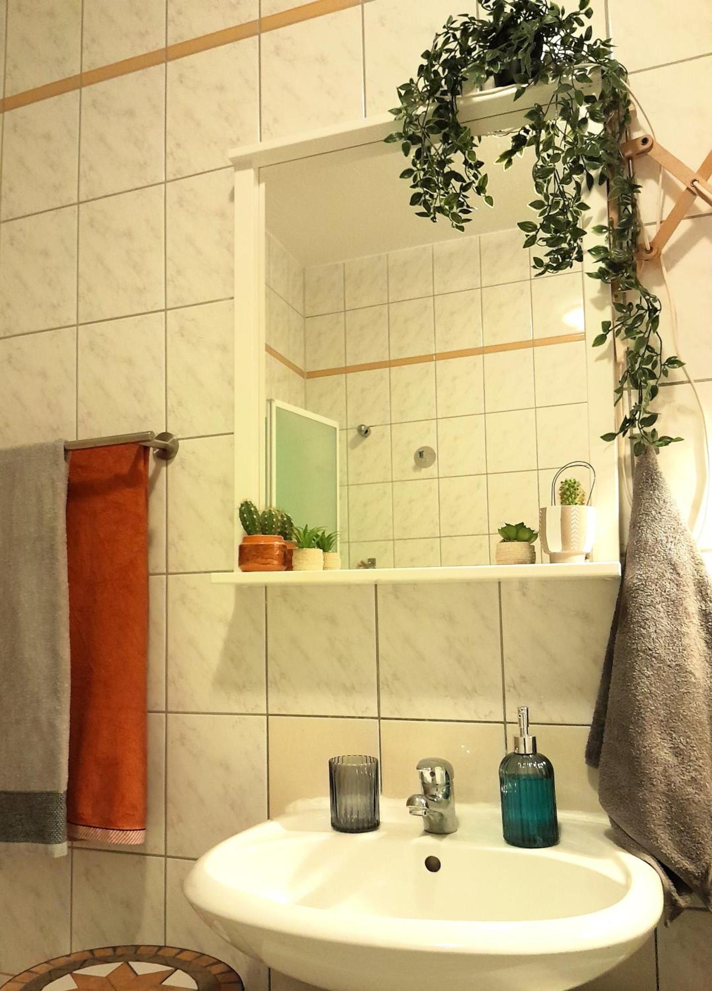 Spacious In Old-west - Leutsch Apartment
