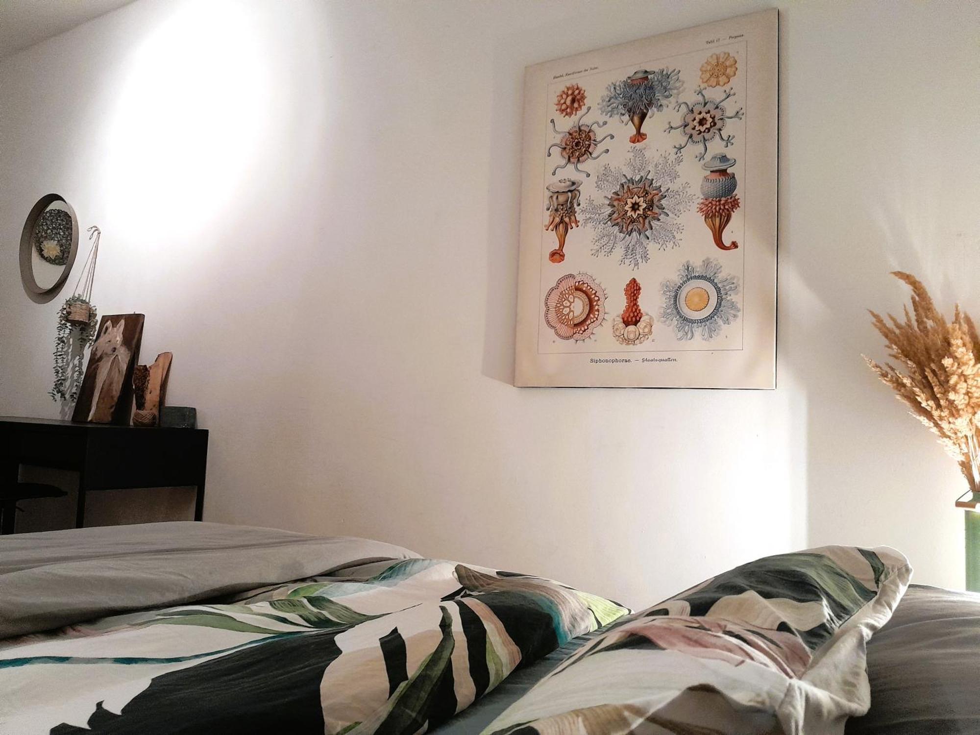 Spacious In Old-west - Leutsch Apartment